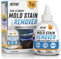 ACTIVE Mold Stain Remover